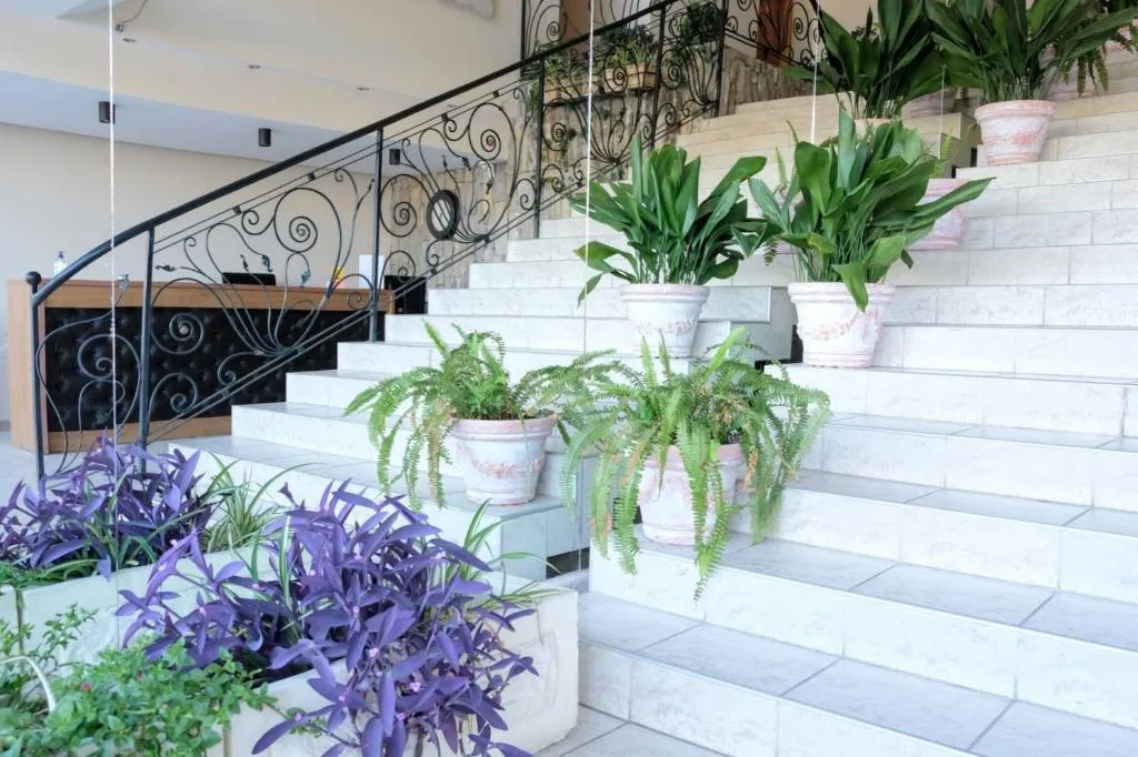 Lobby, Lotus, Bourgas