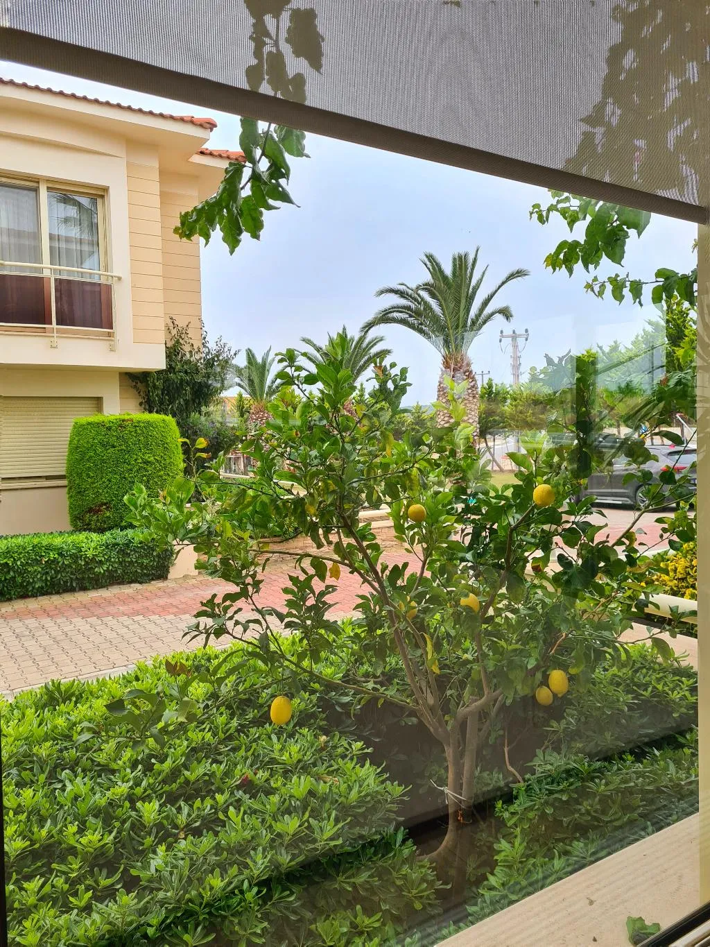 Lobby, Kamer Exclusive Hotel & Suites, Dalaman