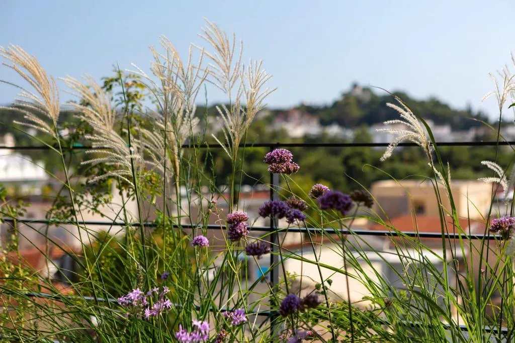 Terrace, The Foundry Suites, Athens
