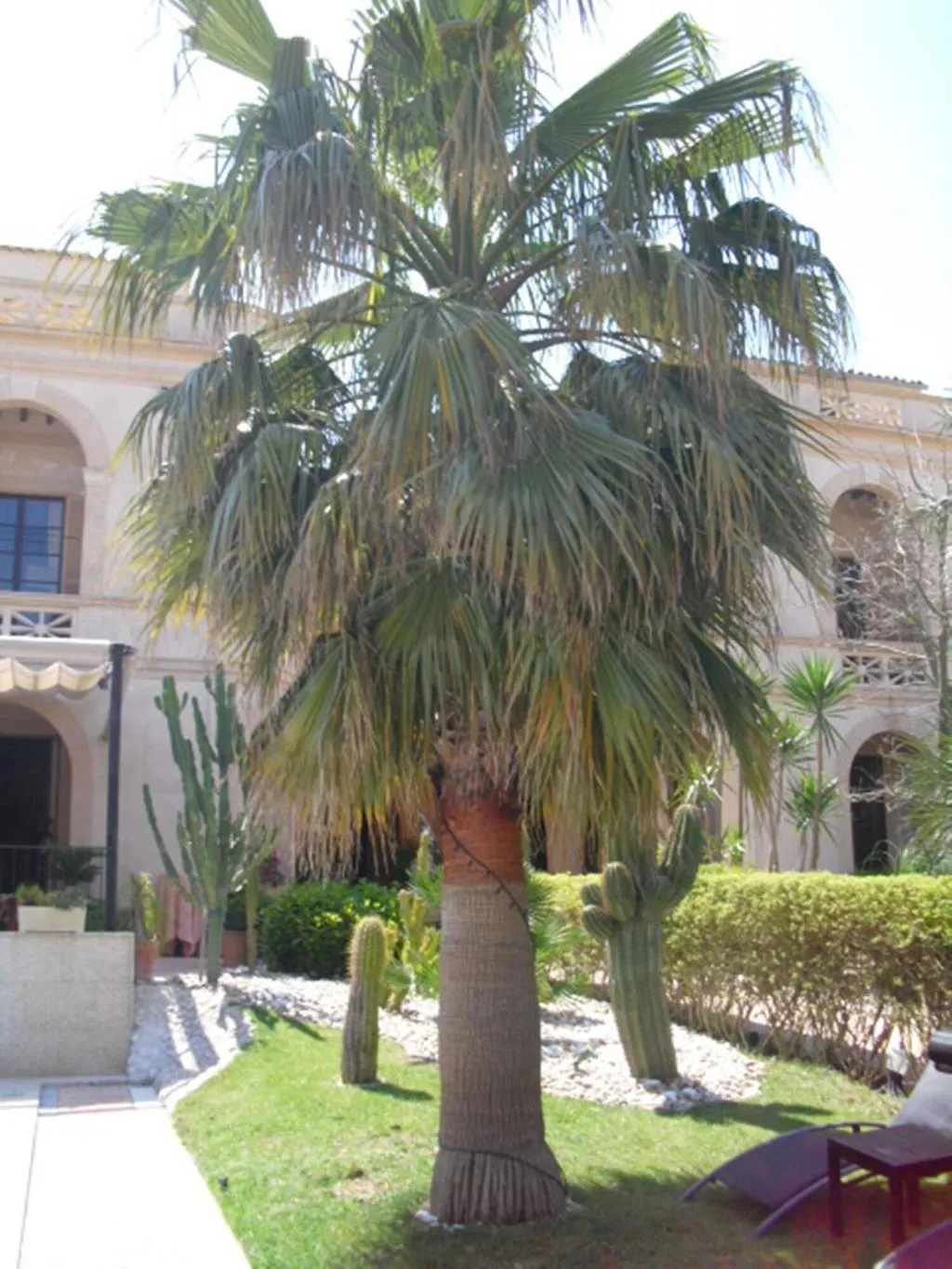 General view, Sant Salvador, Majorca