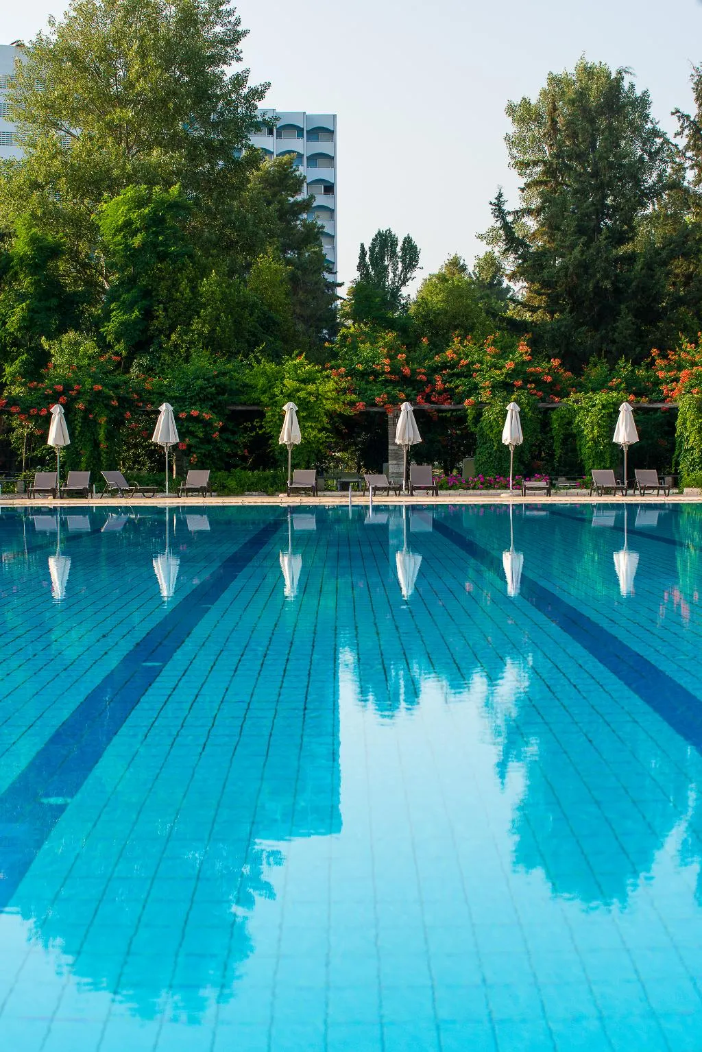 Pool, Athos Palace Hotel, Halkidiki