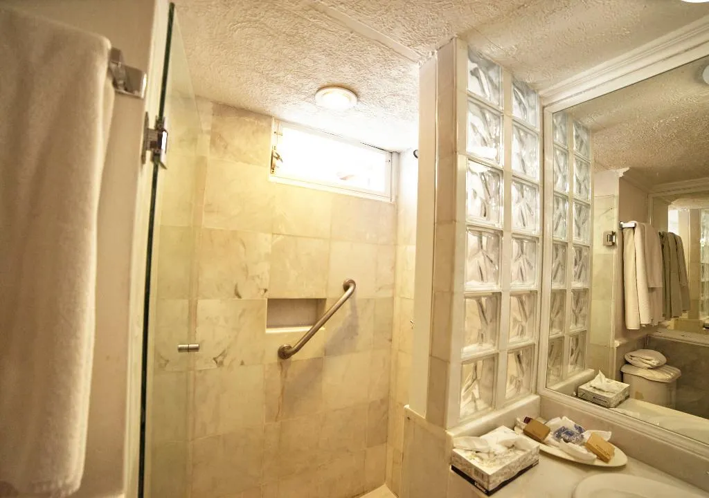 SUITE STANDARD Room, Hotel Francis Drake, Cancun Area
