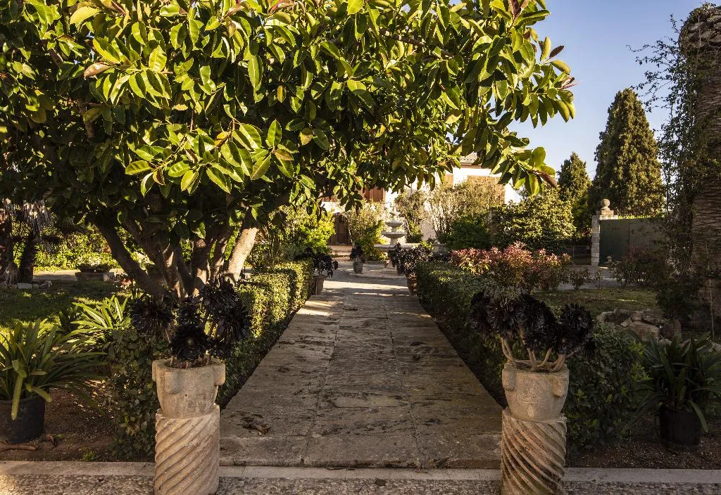 Terrace, Aumallia Hotel & Spa, Majorca