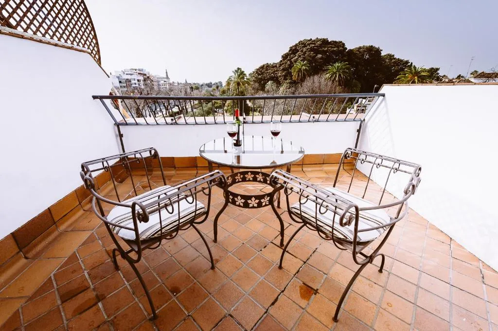 DOUBLE SUPERIOR WITH TERRACE Room, Basic  Hotel Doña Manuela, Seville