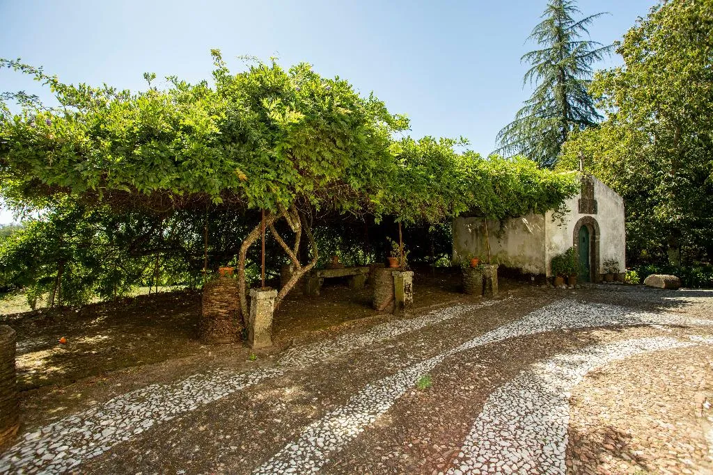 General view, Quinta De S. Caetano, Porto