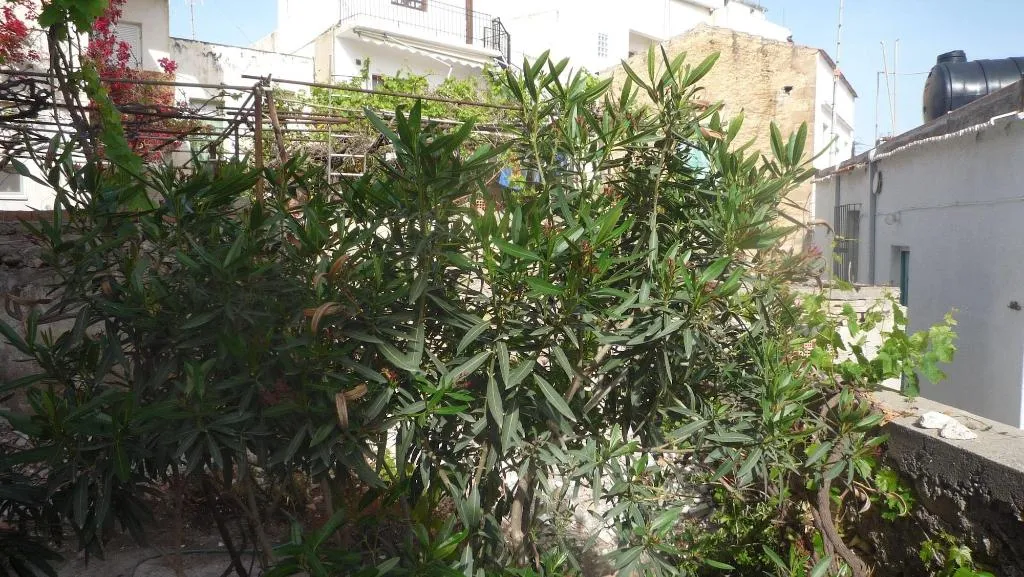 General view, Hostel Stylianos Kissamos, Crete