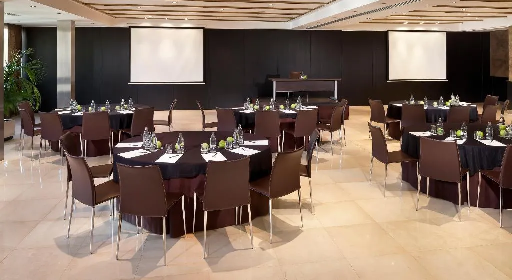 Conferences, Melia Madrid Princesa, Madrid