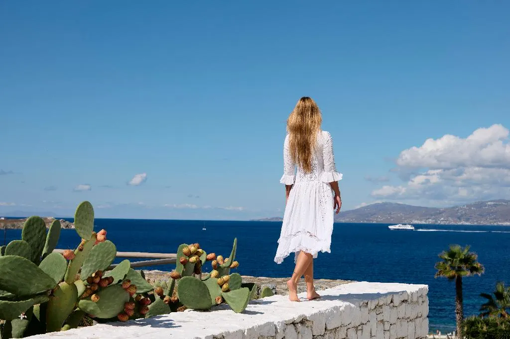 General view, Mykonos Earth, Mykonos