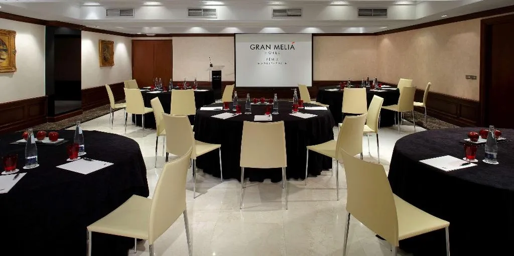 Conferences, Hotel Fenix Gran Meliá, Madrid