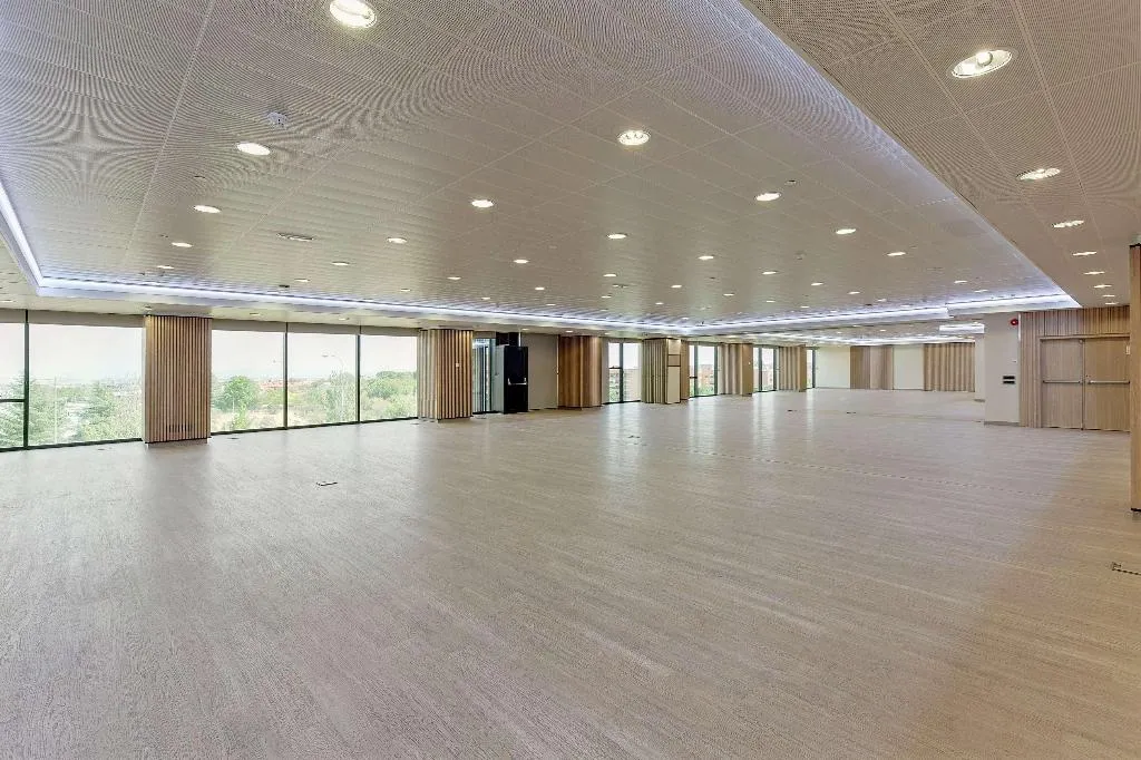 Conferences, Melia Avenida America, Madrid