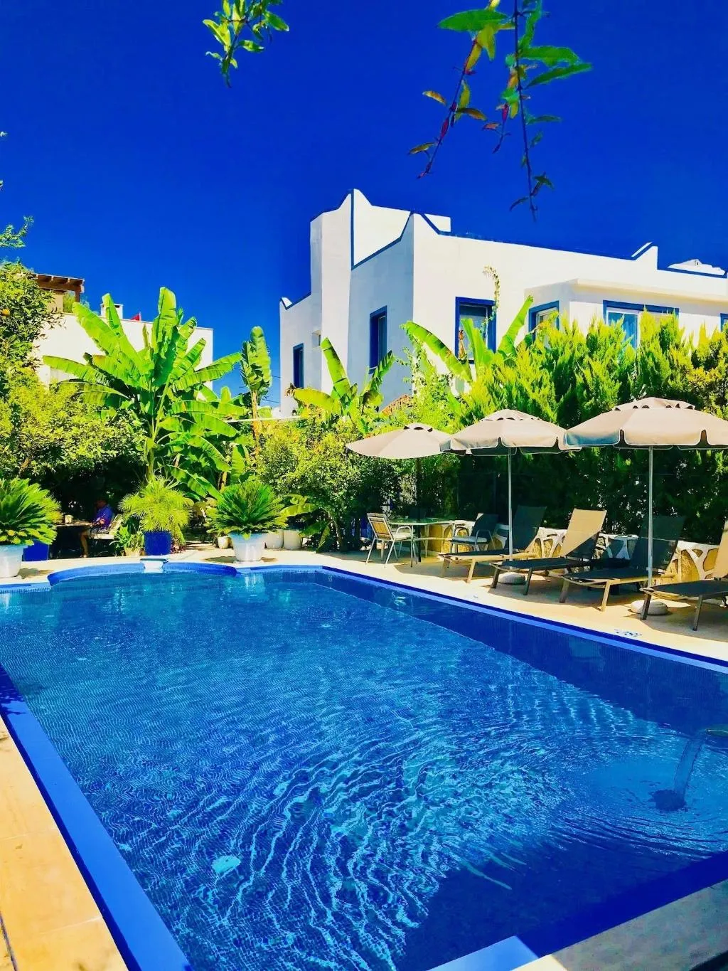Sports and Entertainment, Artunc Hotel Bodrum, Bodrum