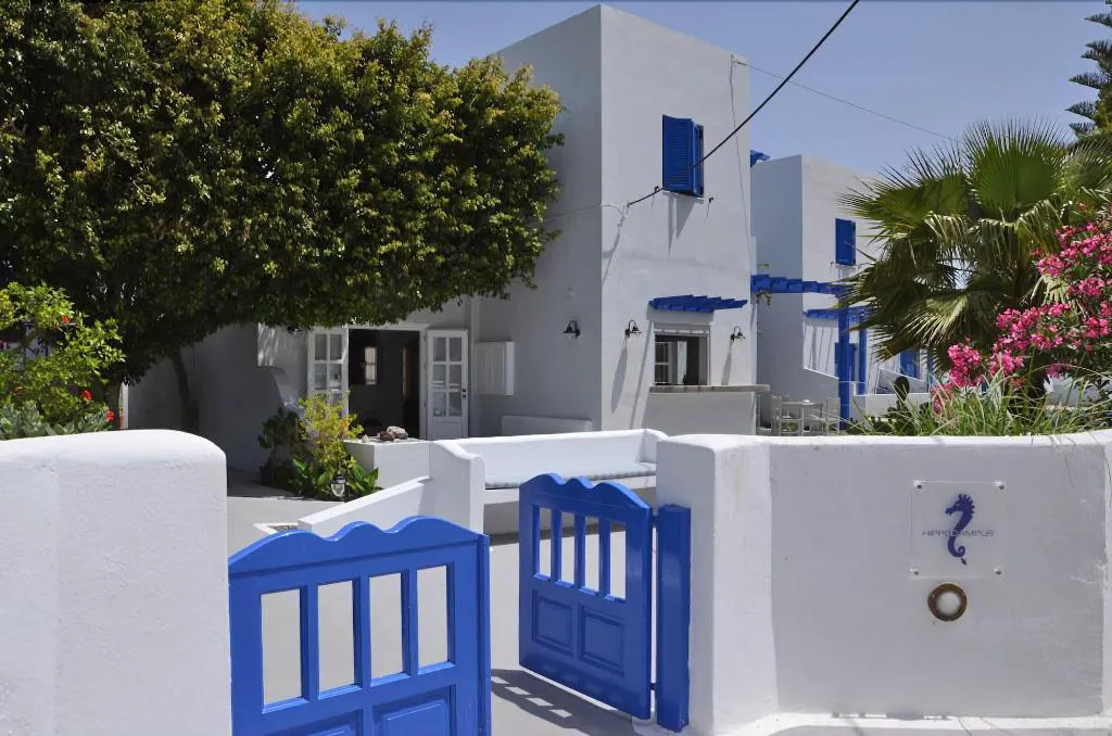 General view, Hippocampus, Santorini