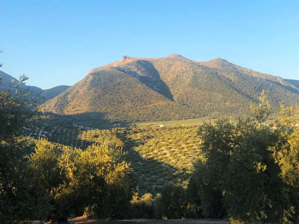 General view, Cortijo La Presa, Andalucia
