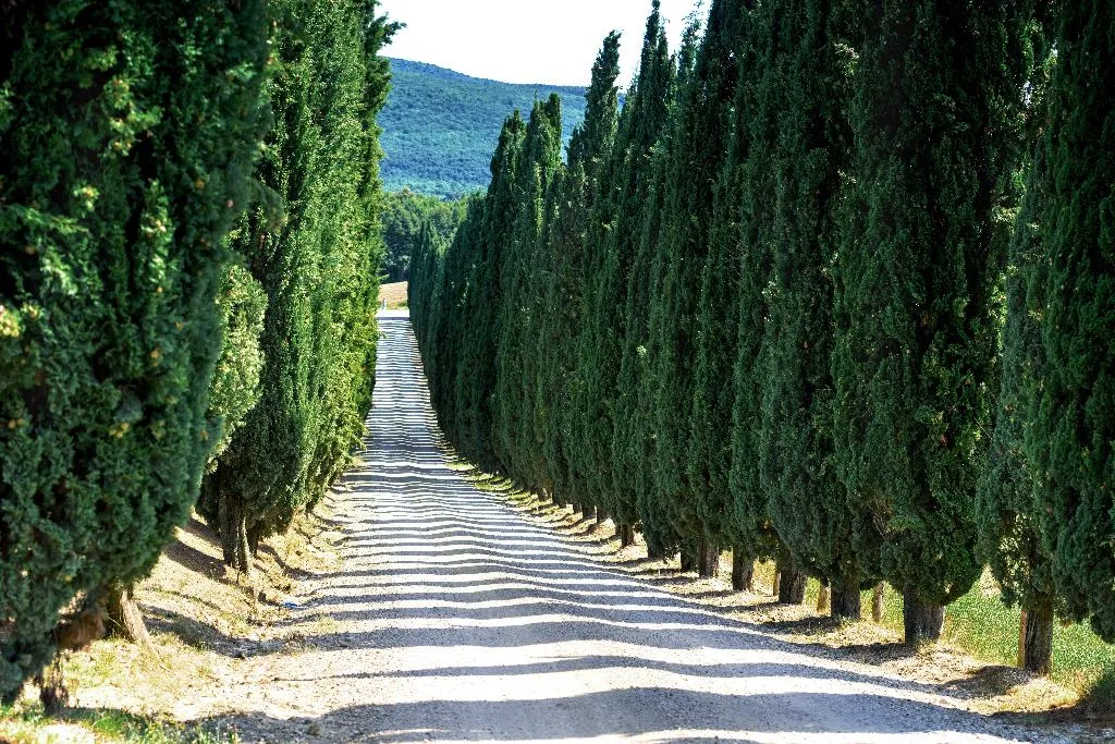 General view, Borgo di Pietrafitta Relais, Florence