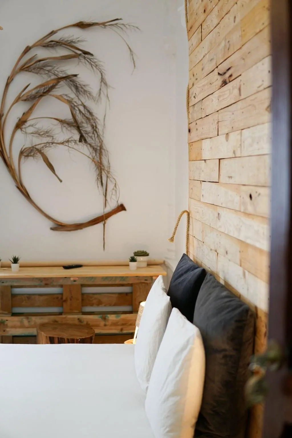 Room, Cactus Host, Gran Canaria