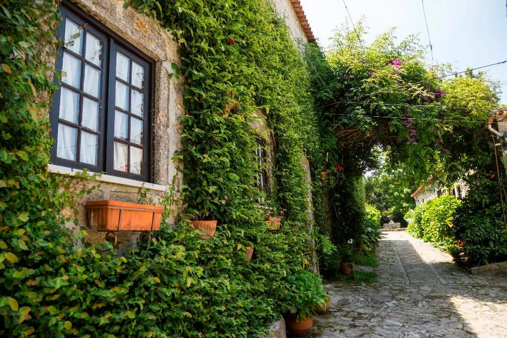 General view, Casa do Ameal, Porto