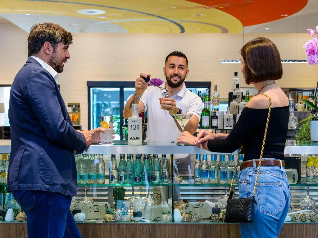 Conferences, Novotel Milano Linate Airport, Milan