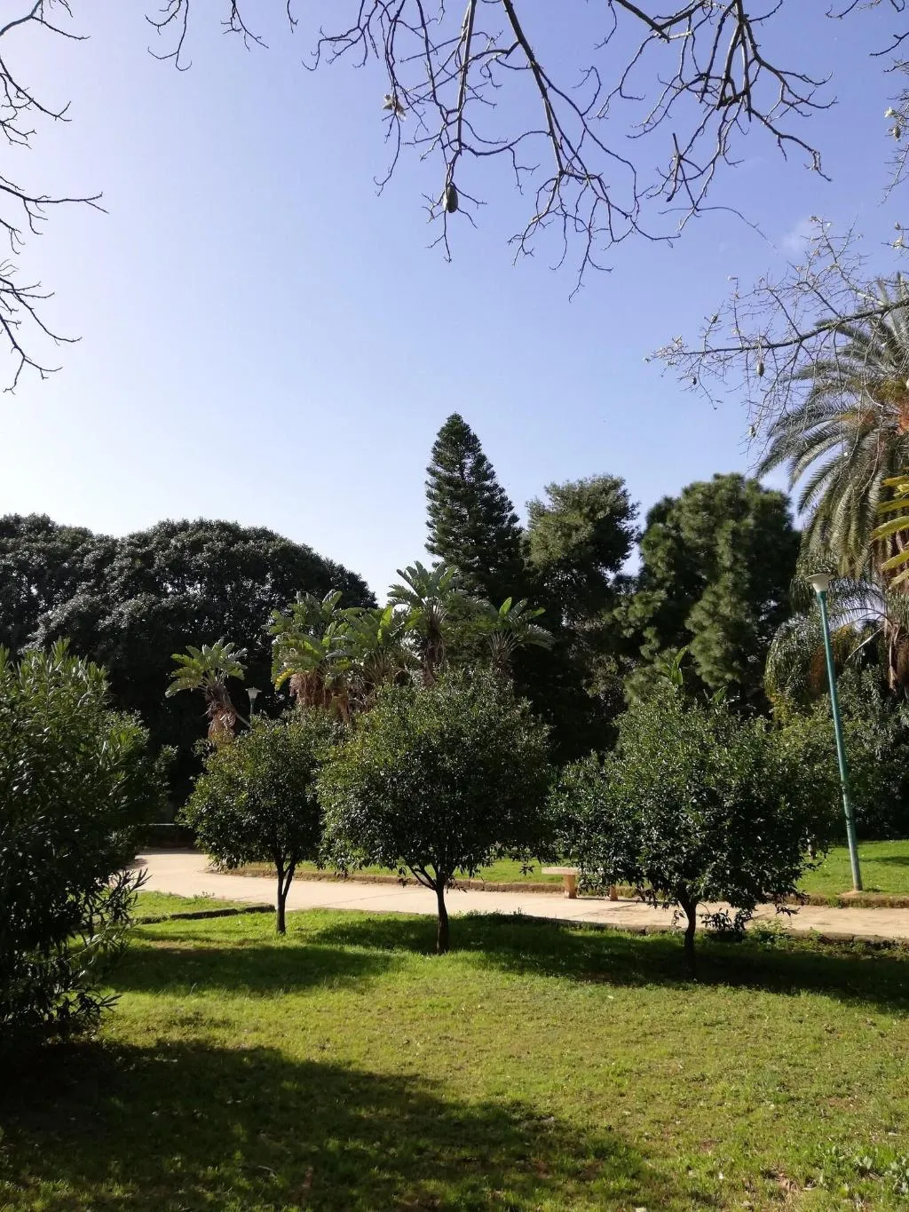 General view, 120 Rodionoff Palermo Hotel B & B, Palermo