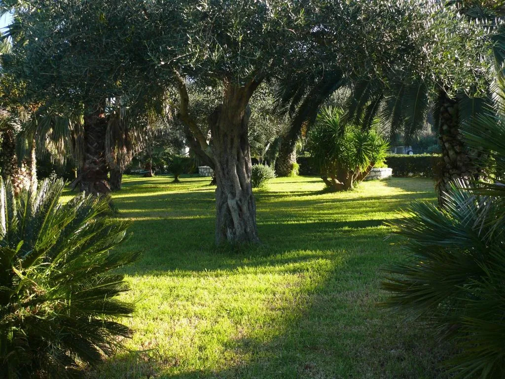 General view, Nefeli, Corfu