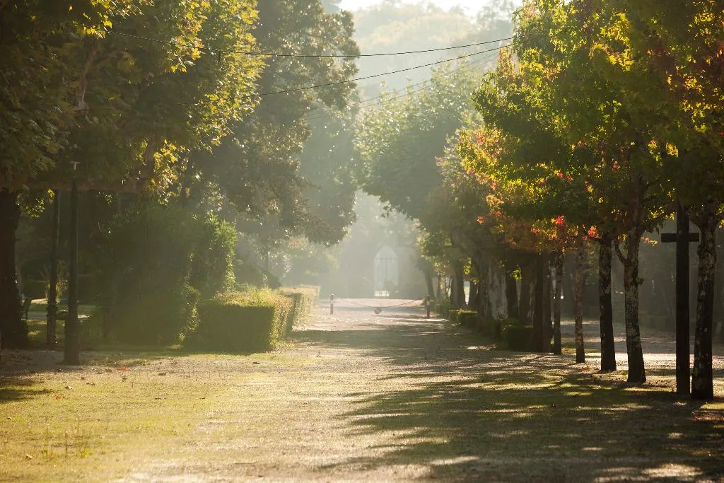 Sports and Entertainment, Hotel Termas da Curia, Porto