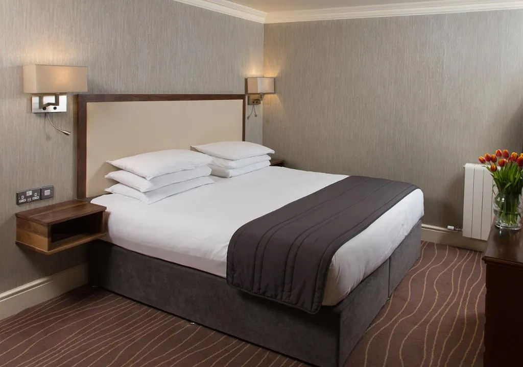 SINGLE STANDARD Room, Albany House, Dublin