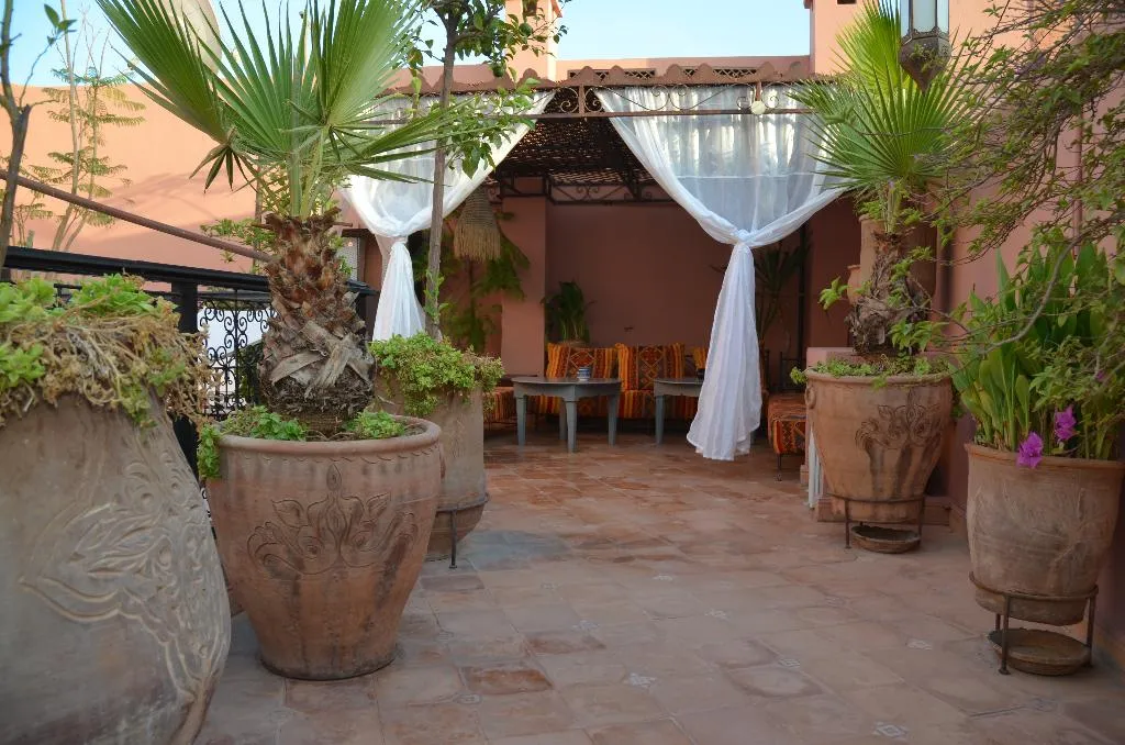 Terrace, Riad Ailen, Marrakech