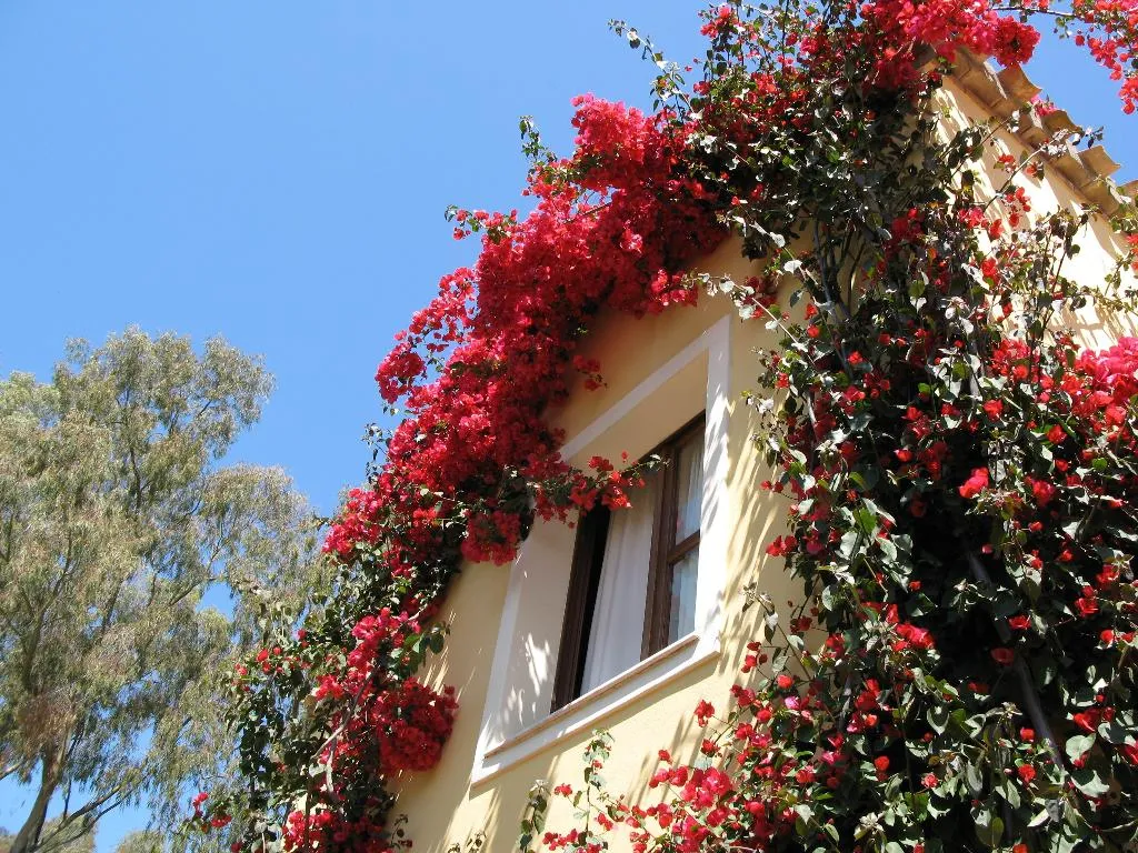 General view, Borgo Degli Ulivi Residence, Cagliari