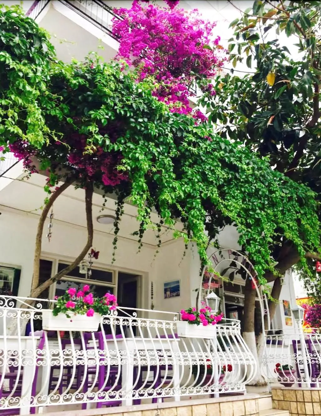 Terrace, Agan Pansiyon, Dalaman