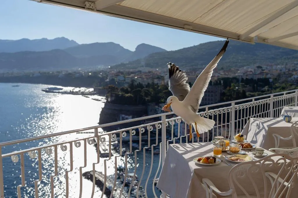 Terrace, Belair, Naples