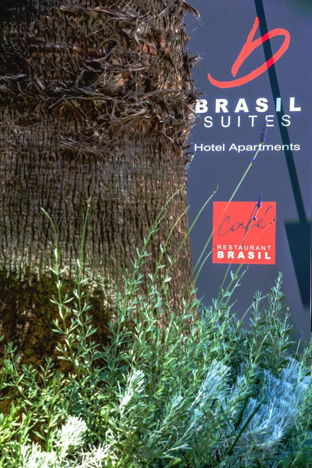 Terrace, Brasil Suites Boutique Hotel, Athens