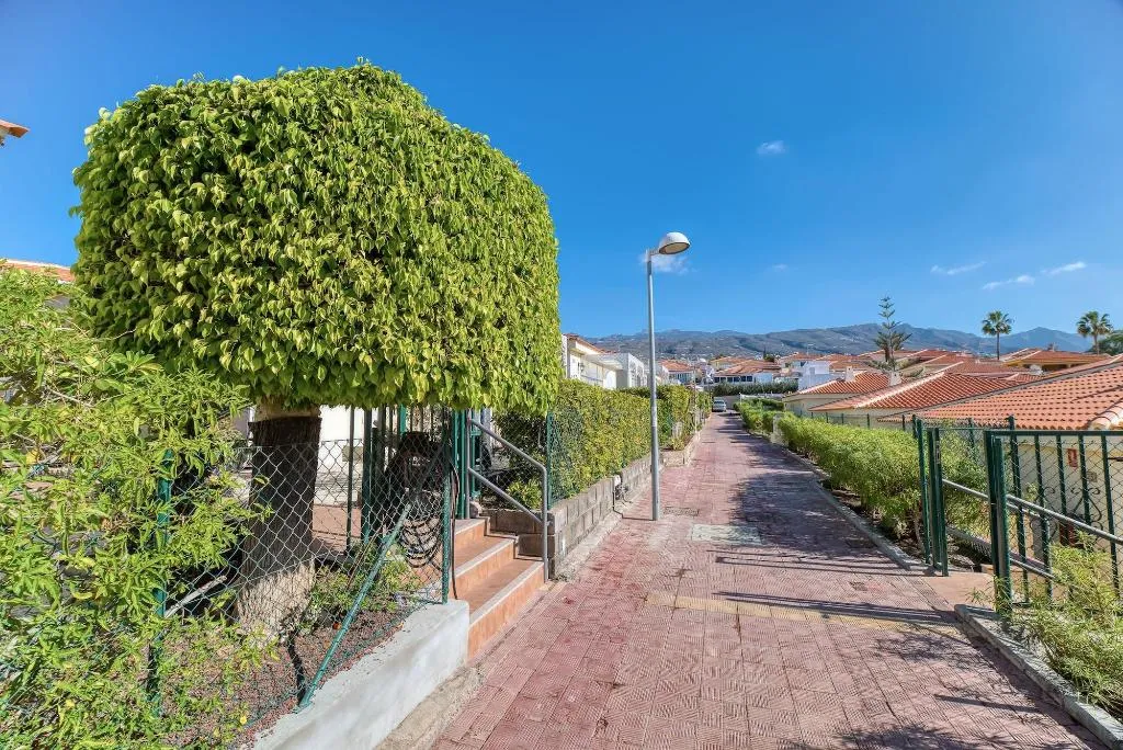 General view, WimPen Sueño Azul, Tenerife