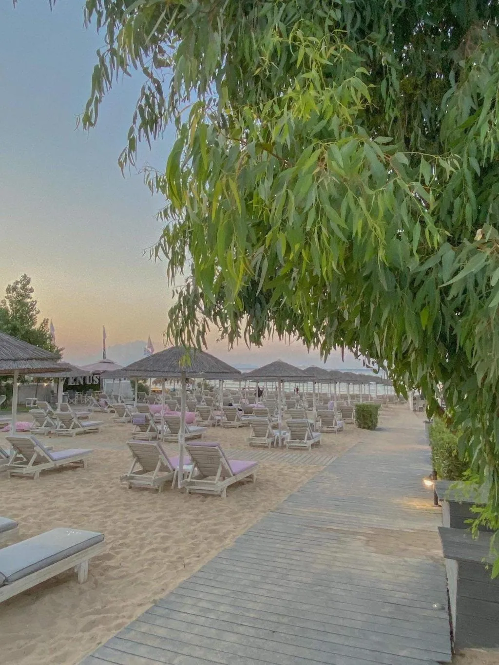 Room, Venus Resort, Zante