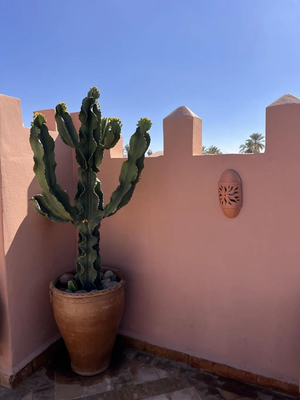 Terrace, Riad Les Sources Berberes, Marrakech