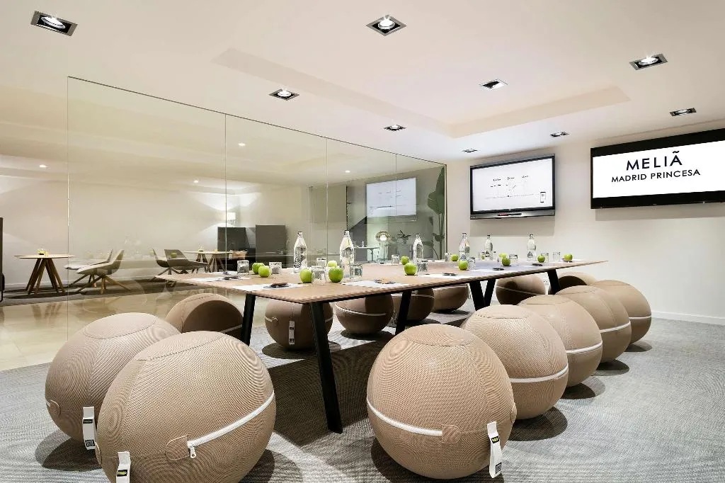 Conferences, Melia Madrid Princesa, Madrid