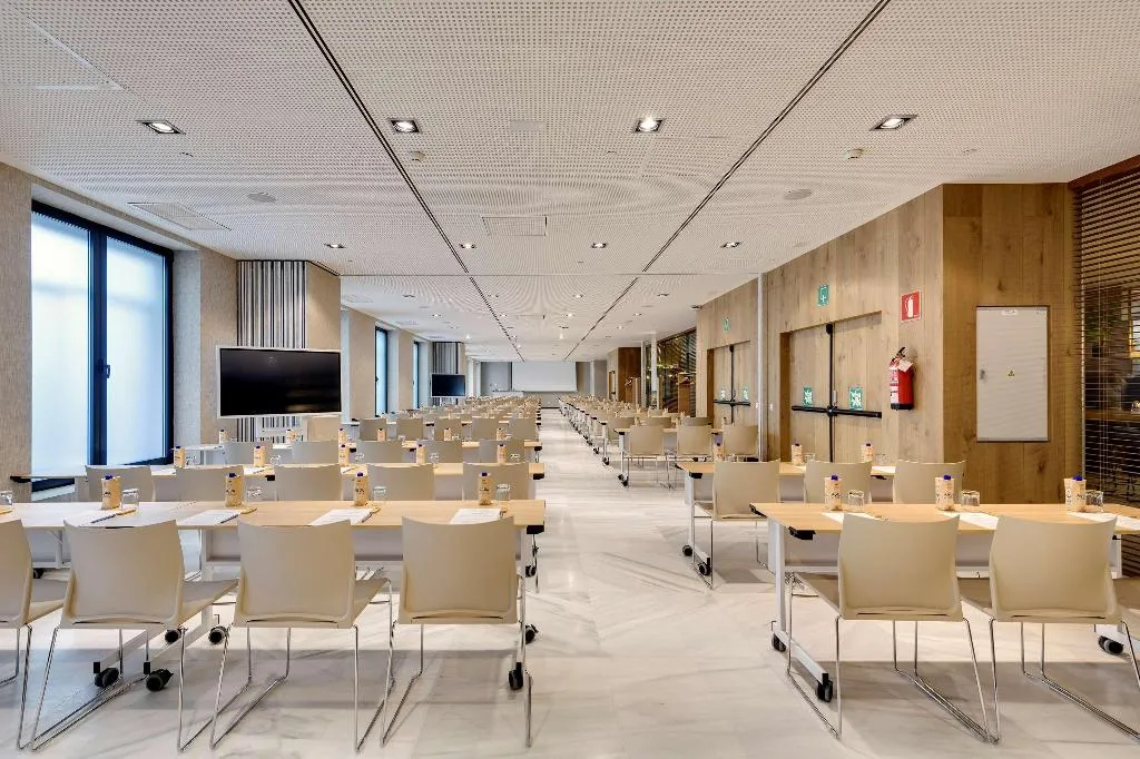 Conferences, Melia Madrid Serrano, Madrid