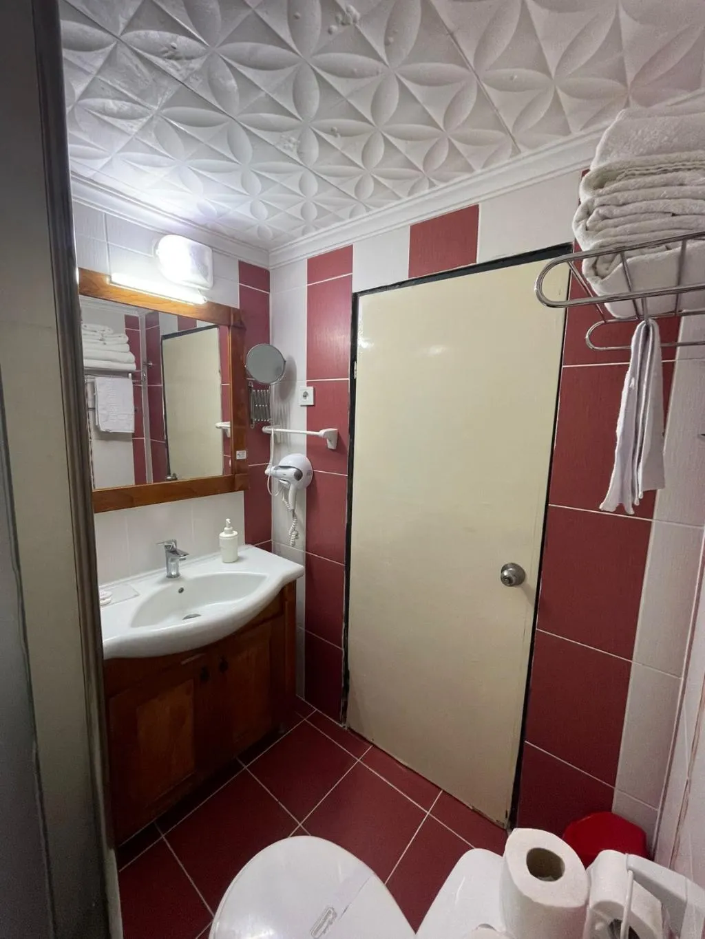 DOUBLE SINGLE USE LAND VIEW Room, Panormos Hotel Didim-Didyma, Bodrum