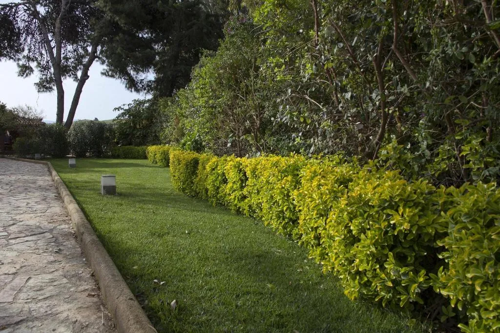 General view, B&B Villaseta, Catania