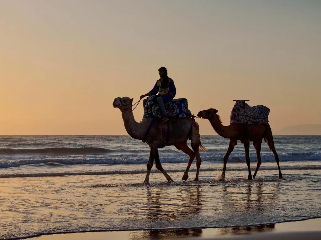 Sports and Entertainment, Fairmont Taghazout Bay, Agadir