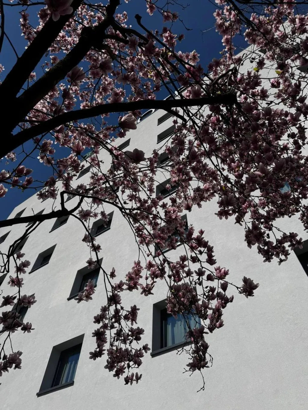 General view, Acca Sporting Milano - AA Hotels, Milan