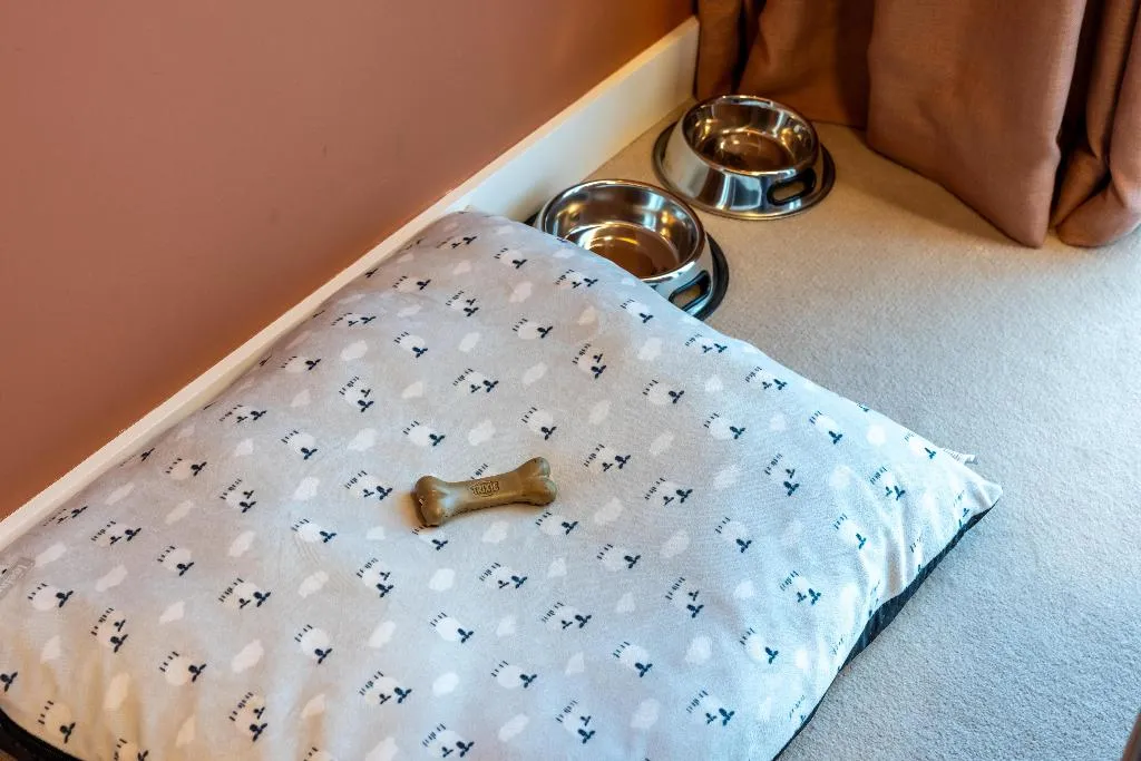JUNIOR SUITE KING SIZE BED Room, Cenica Porto Hotel, Curio Collection By Hilton, Porto
