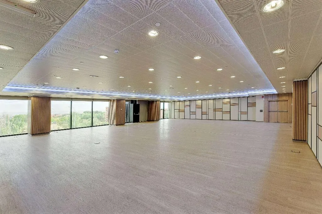Conferences, Melia Avenida America, Madrid