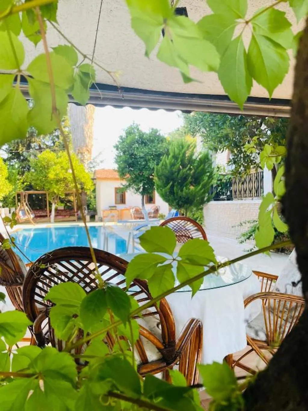 Pool, Felicity Hotel & Bungalows, Antalya