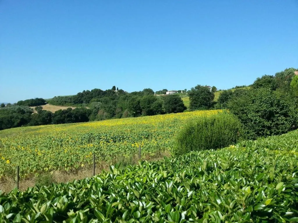 General view, Agriturismo Il Borghetto, Perugia