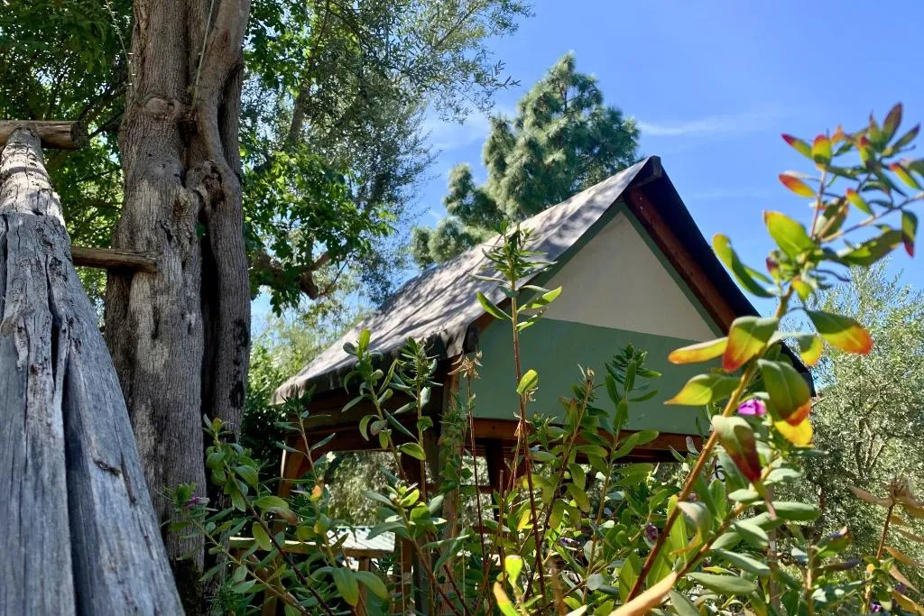 Tent BASIC Room, Hostel & Glamping Santa Fortunata, Naples