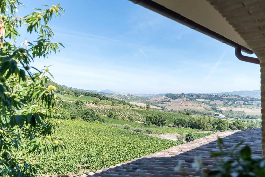 General view, Altarocca Wine Resort, Perugia