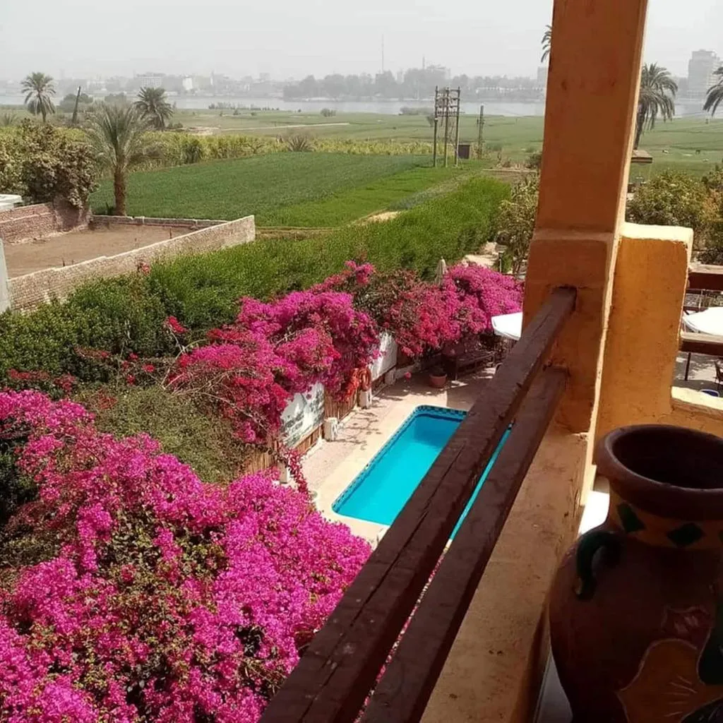 Terrace, Nile Compound Hotel, Luxor