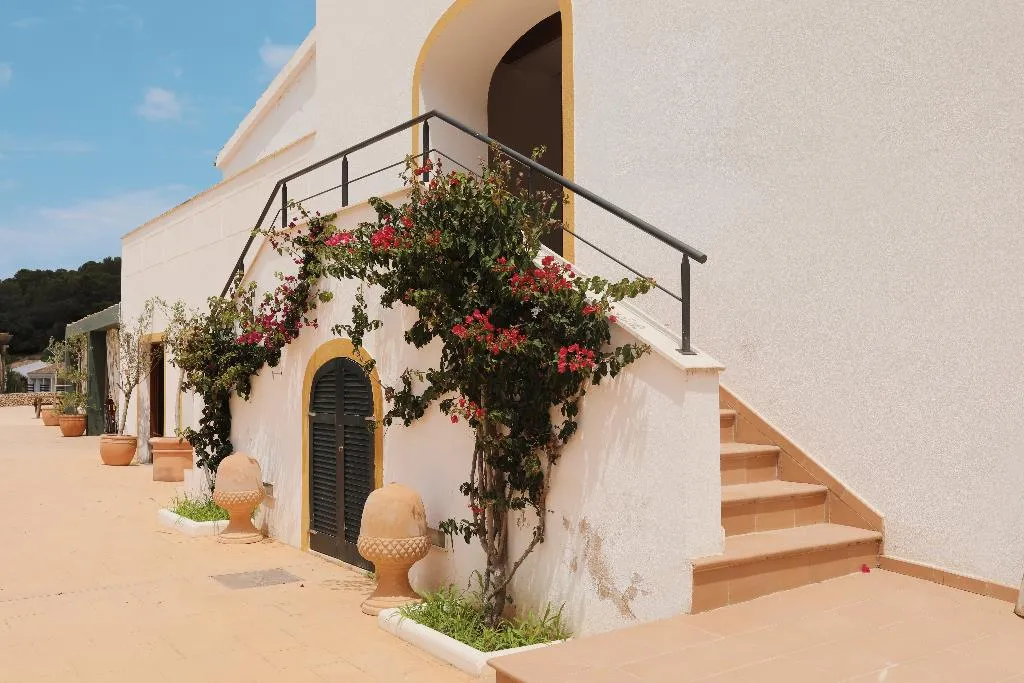 JUNIOR SUITE STANDARD Room, Llucatx Menorca, Menorca
