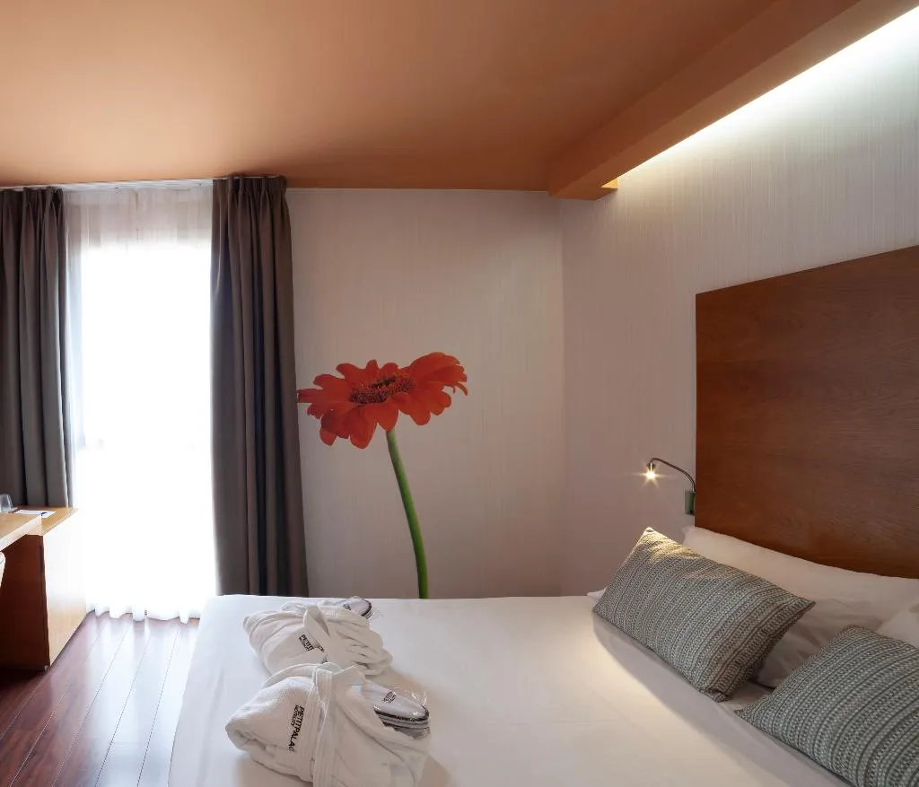 Double or Twin WITH VIEWS Room, Petit Palace Plaza Malaga, Costa Del Sol