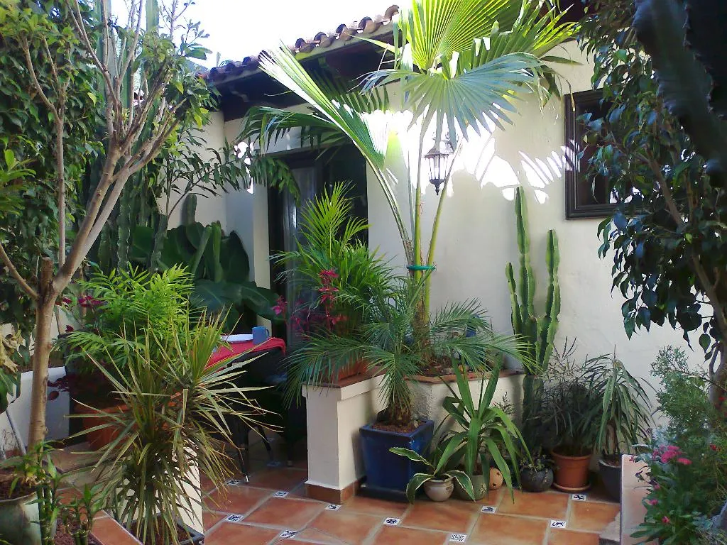APARTMENT SUPERIOR WITH TERRACE Room, Apartamentos Monasterio de San Antonio Only Adults, Tenerife