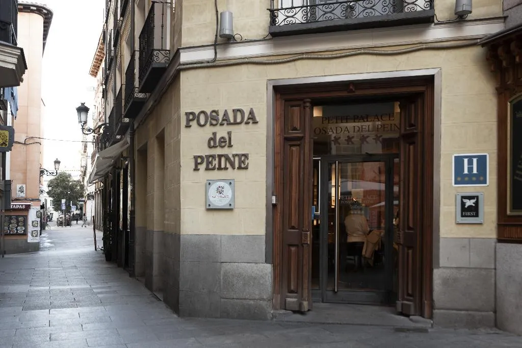 General view, Petit Palace Posada del Peine, Madrid